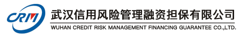 武漢信用風(fēng)險(xiǎn)管理融資擔(dān)保有限公司